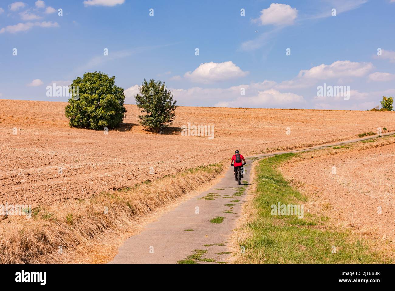 Cyclist with e-bike riding on lonely dirt road up hill through dried up fields and two trees, Germany Stock Photo