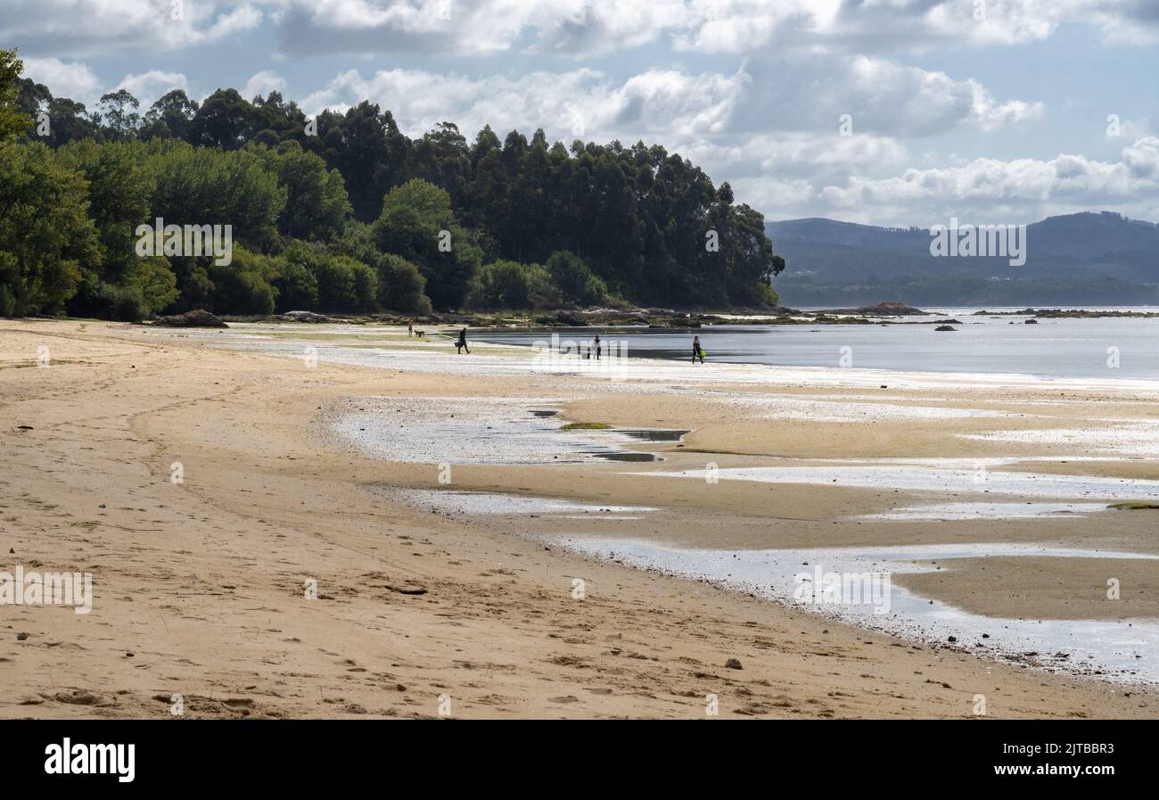 General view of a beach in Boiro, Pontevedra. In the background there is a woman playing with two dogs and a shellfisher and two shellfisherwomen head Stock Photo