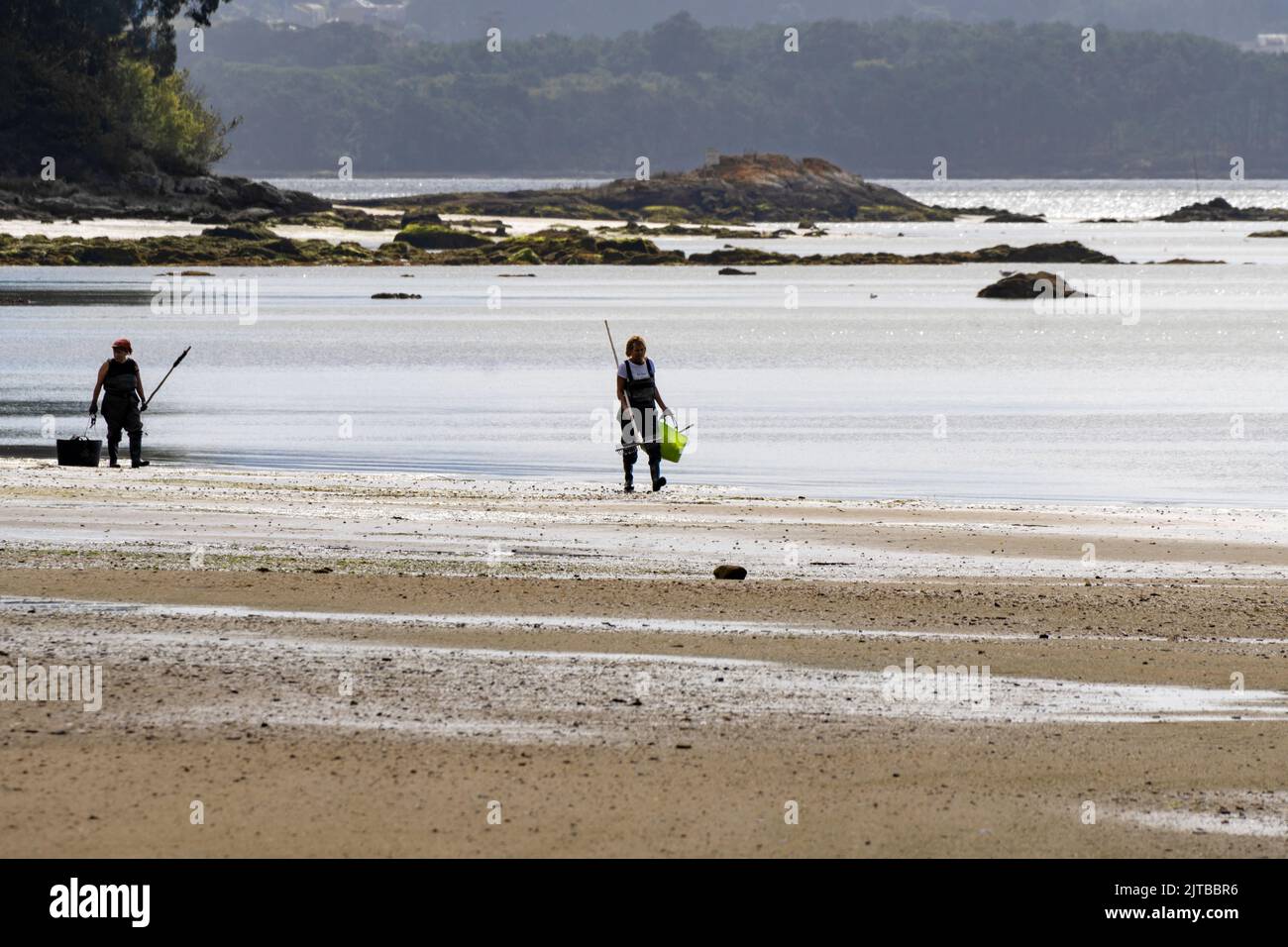 Two shellfish gatherers walking along the beach to enter the sea to shellfish clams and mussels on a beach in Boiro, Pontevedra. Spain. Stock Photo