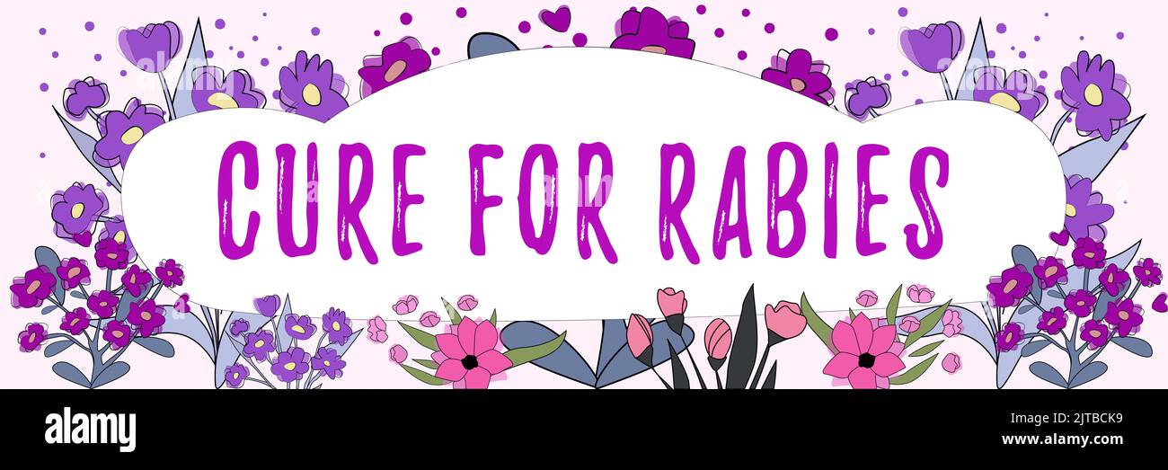 Text showing inspiration Cure For Rabies. Concept meaning Vaccination ...