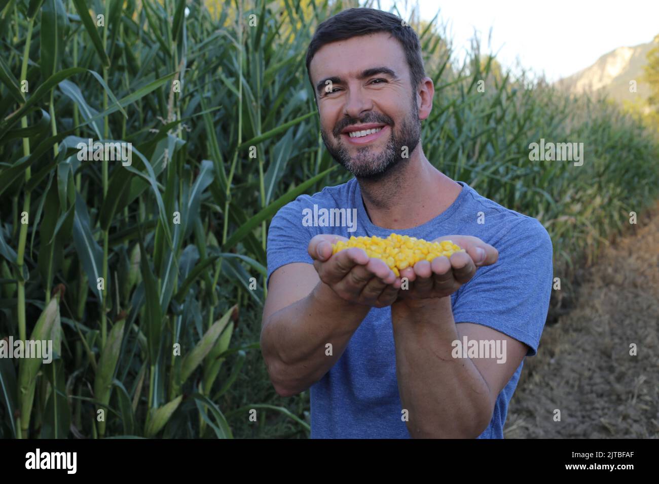 Farmer in beautiful corn fields showing organic product Stock Photo Alamy