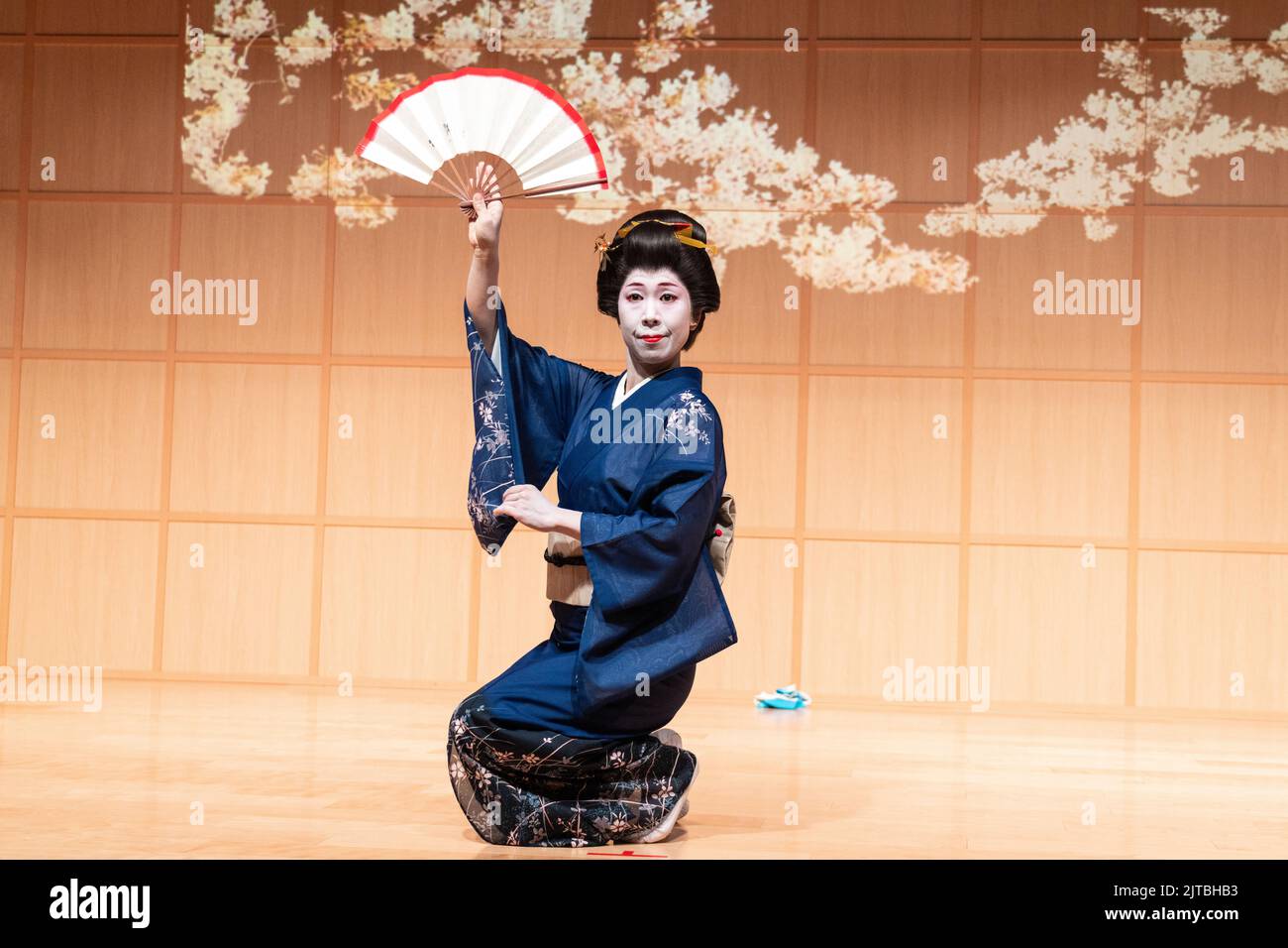 A Japanese geisha wearing a kimono, performs a traditional fan dance at the Kanda Myojin Shrine, in Chiyoda, Tokyo, Japan. Stock Photo