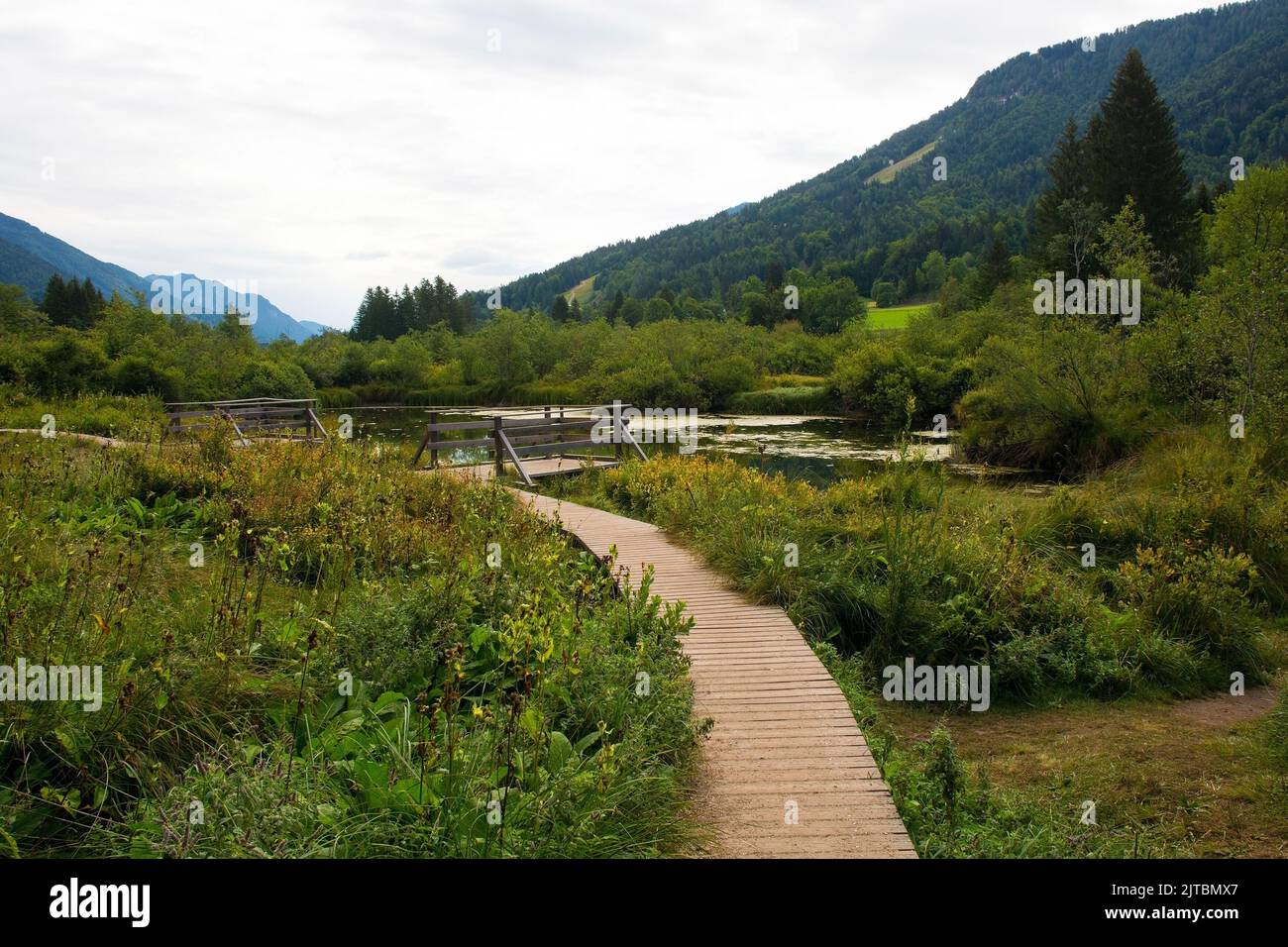 A raised walkway and observation platforms in Zelenci Nature Reserve near Kranjska Gora in north west Slovenia. It is a protected wetland Stock Photo