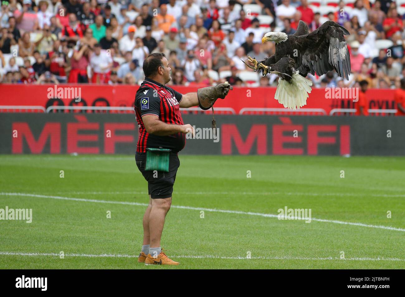 Nice, France, 28th August 2022. Falconer Jean-Philippe Roman and Mefi the Eagle the OGC Nice official mascot prior to kick off in the Uber Eats Ligue 1 match at Allianz Riviera Stadium, Nice. Picture credit should read: Jonathan Moscrop / Sportimage Stock Photo