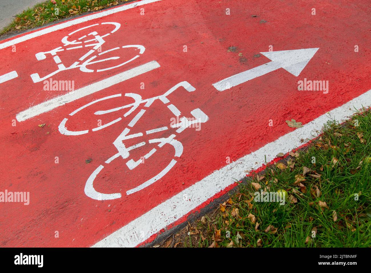 bike lane or red road with signs of bicycles Stock Photo Alamy