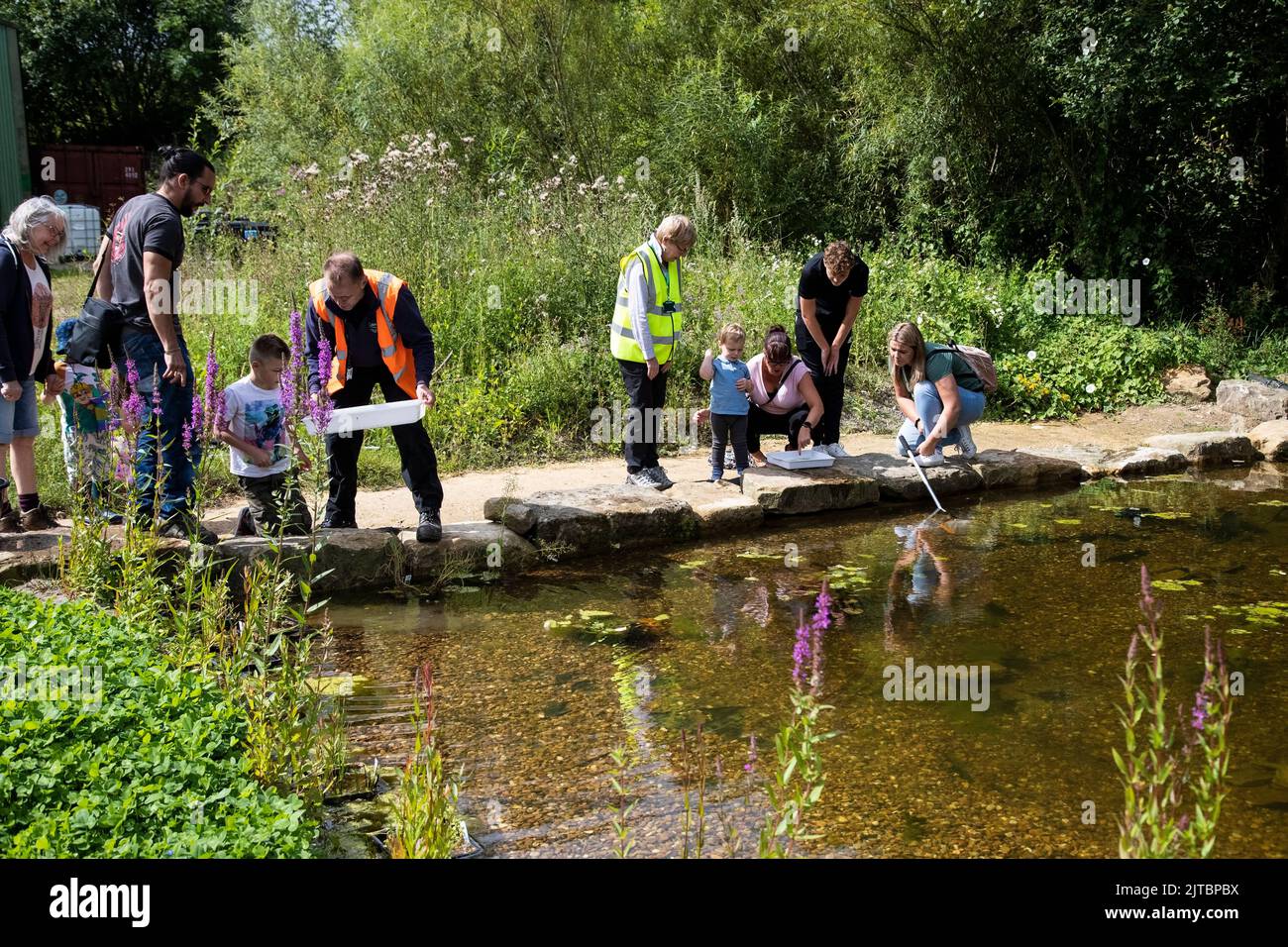 A Group of children and parents on a nature reserve Open Day enjoying exploring pond dipping for underwater creatures in mid summer Stock Photo