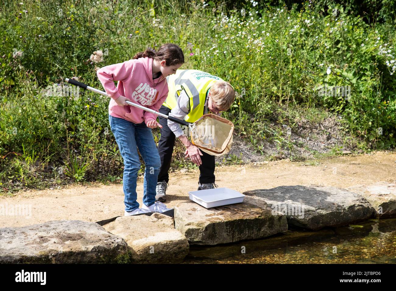 Young nature loving girl enjoying a session of pond dipping at a local nature reserve in West Yorkshire during summer with a guide Stock Photo