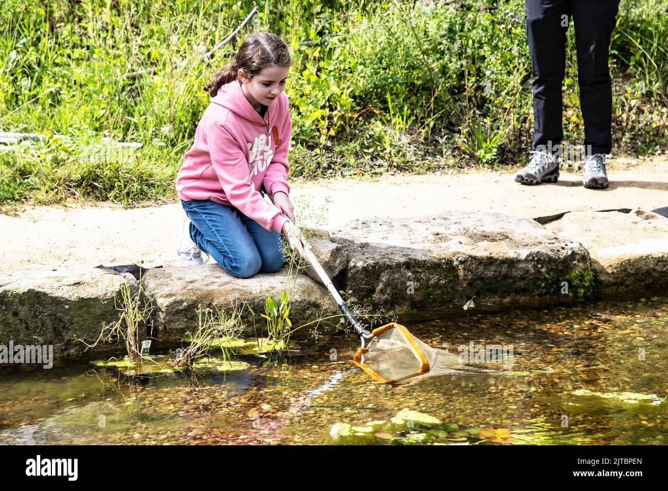 Young nature loving girl enjoying a session of pond dipping at a local nature reserve in West Yorkshire during summer Stock Photo