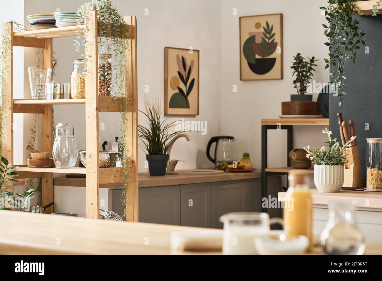Horizontal image of modern domestic kitchen with paintings on the wall