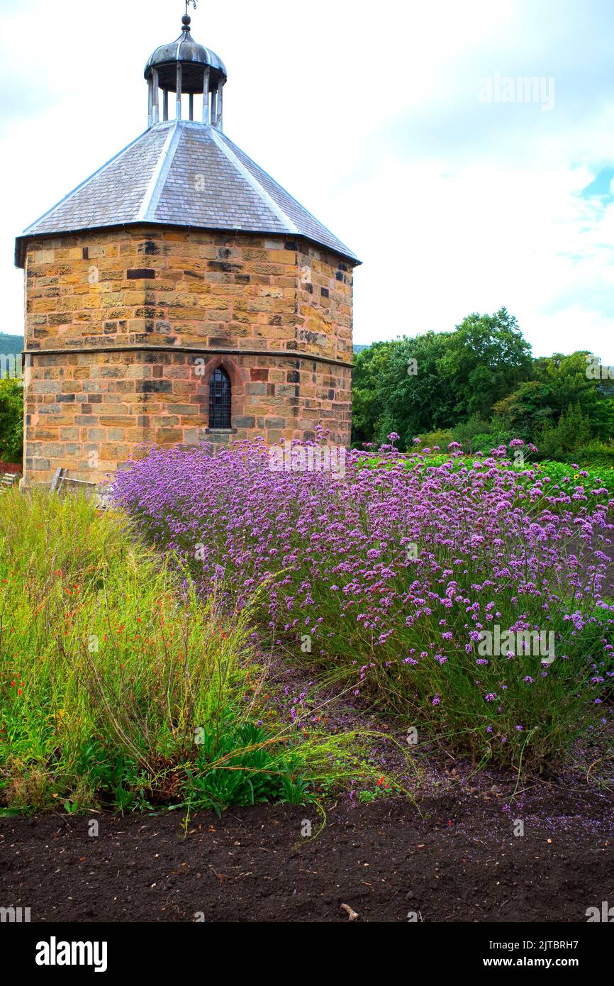 The old dovecot at the 14th century  Augustinian priory in Guisborough with commercially grown flowers in front Stock Photo