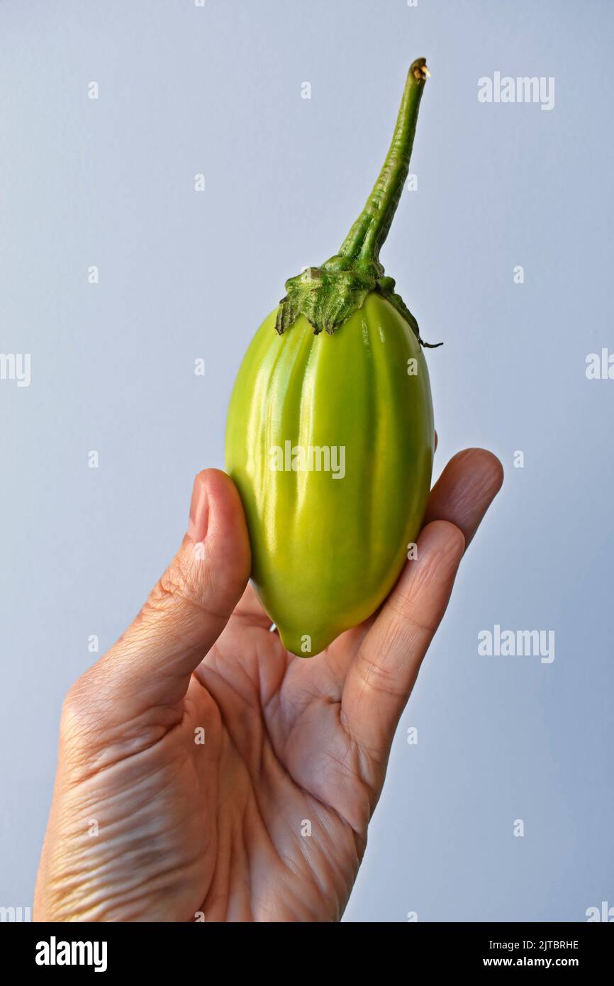 Scarlet eggplant hi-res stock photography and images - Alamy