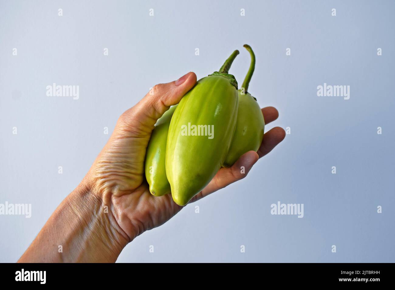 Scarlet eggplant hi-res stock photography and images - Alamy