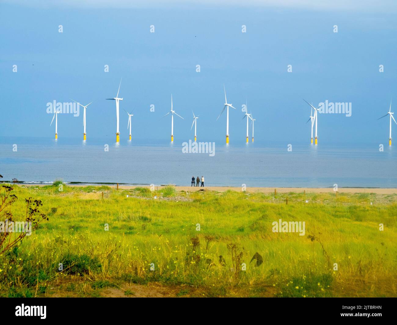 Three people on Redcar beach with sun lit  Teesside Offshore wind farm behind in flat calm coditions none of the turbines are working Stock Photo
