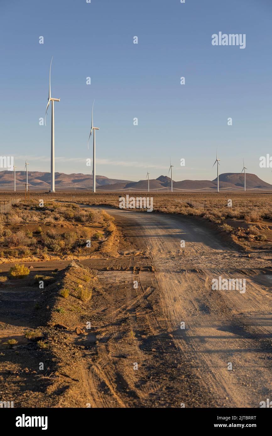 The wind turbines spinning in large field under blue sky Stock Photo ...