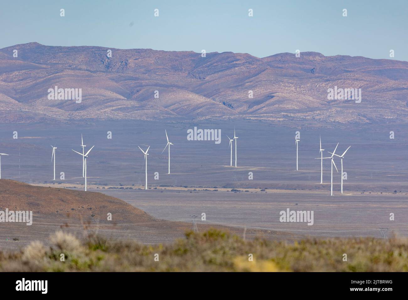 The wind turbines spinning in large field under blue sky Stock Photo ...