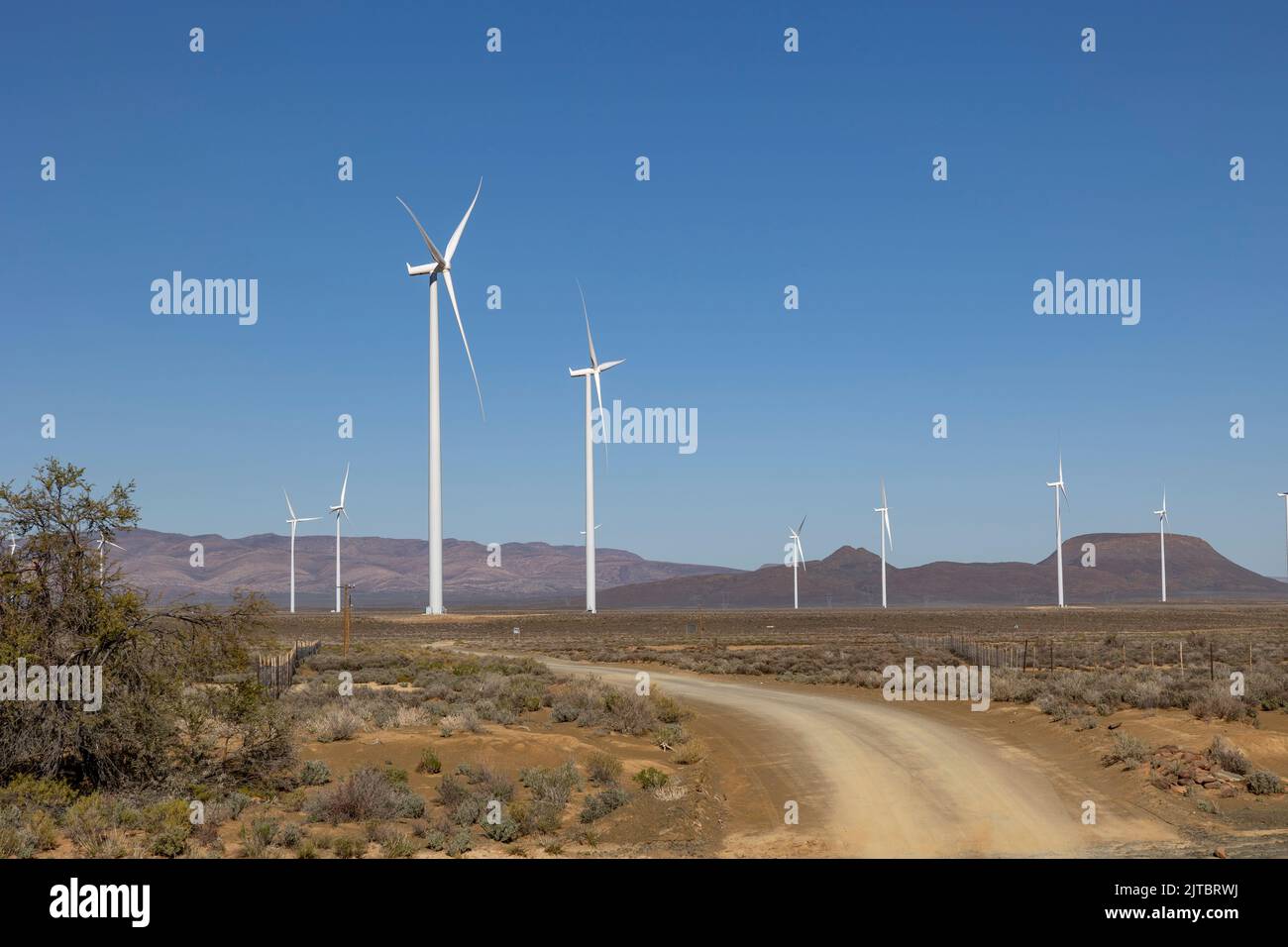 The wind turbines spinning in large field under blue sky Stock Photo ...