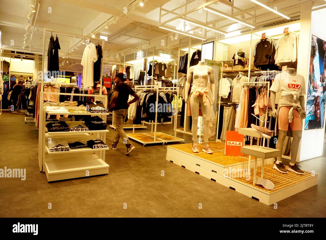 201 the harlequin hires stock photography and images Alamy