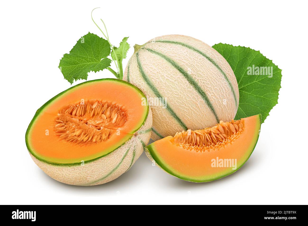 Cantaloupe melon isolated on white background with full depth of field