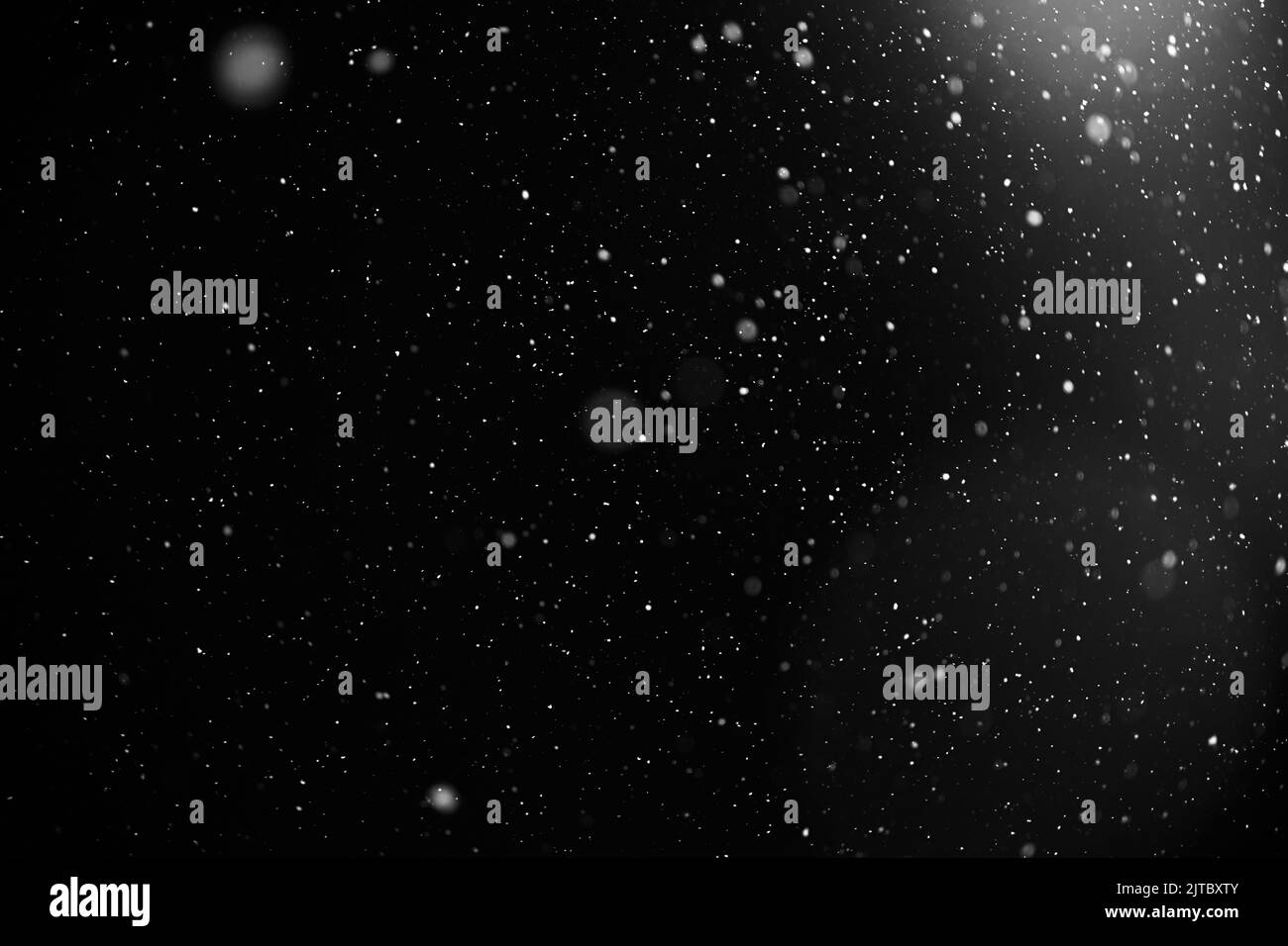 Snowflakes falling down on black background, heavy snow flakes isolated, Flying rain, overlay