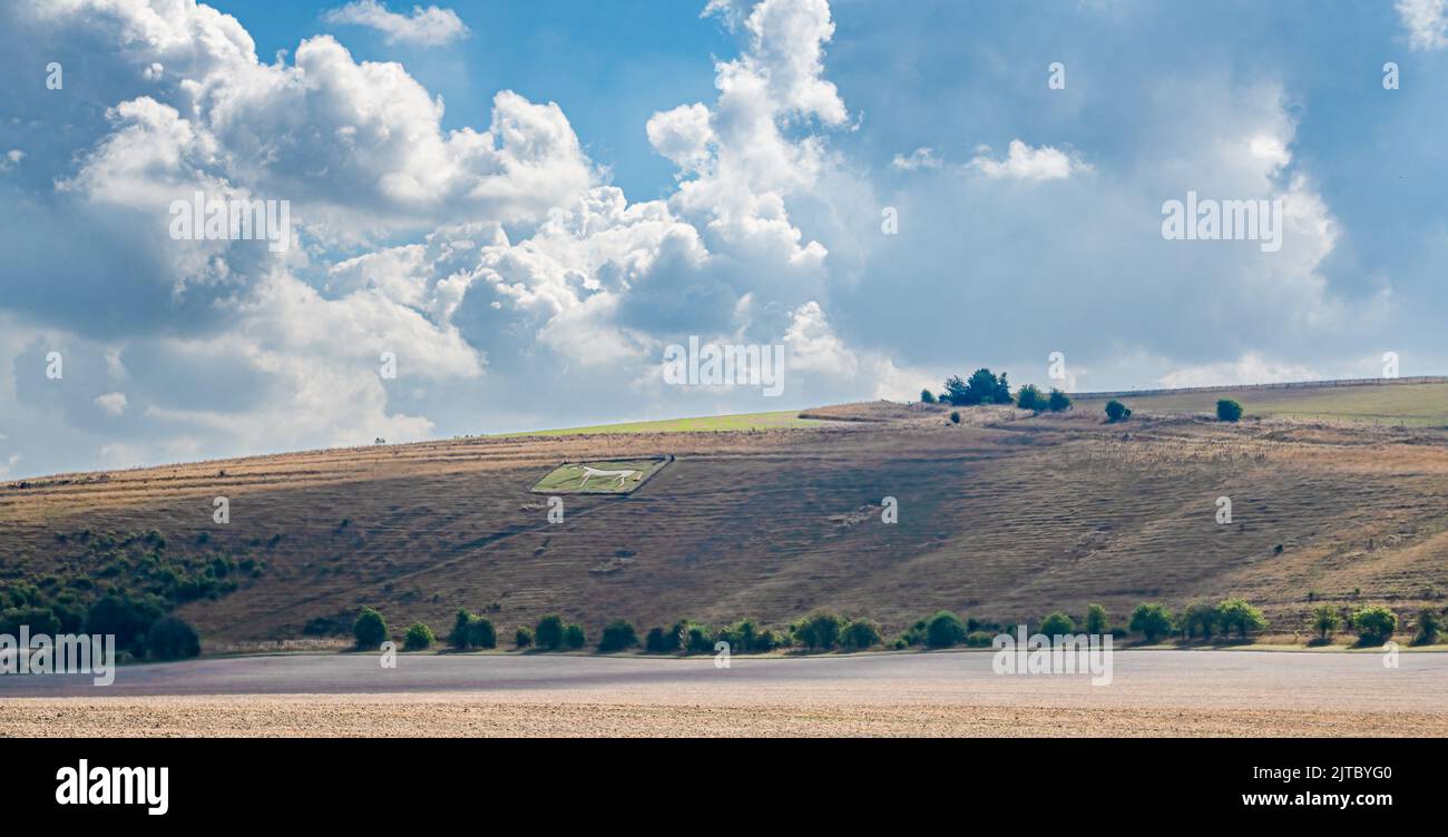 open field with recently rotovated brown soil, distant hills and a chalk white horse, blue summer sky with scattered white cloud Stock Photo
