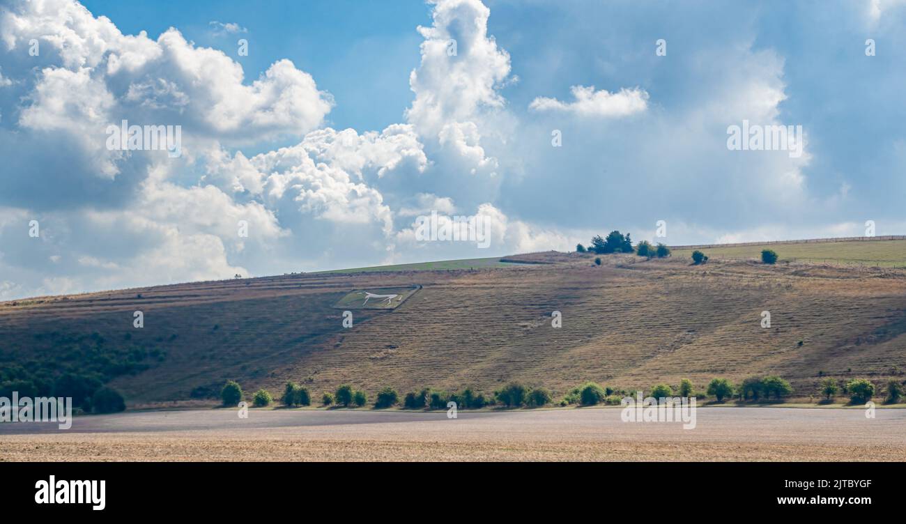 open field with recently rotovated brown soil, distant hills and a chalk white horse, blue summer sky with scattered white cloud Stock Photo