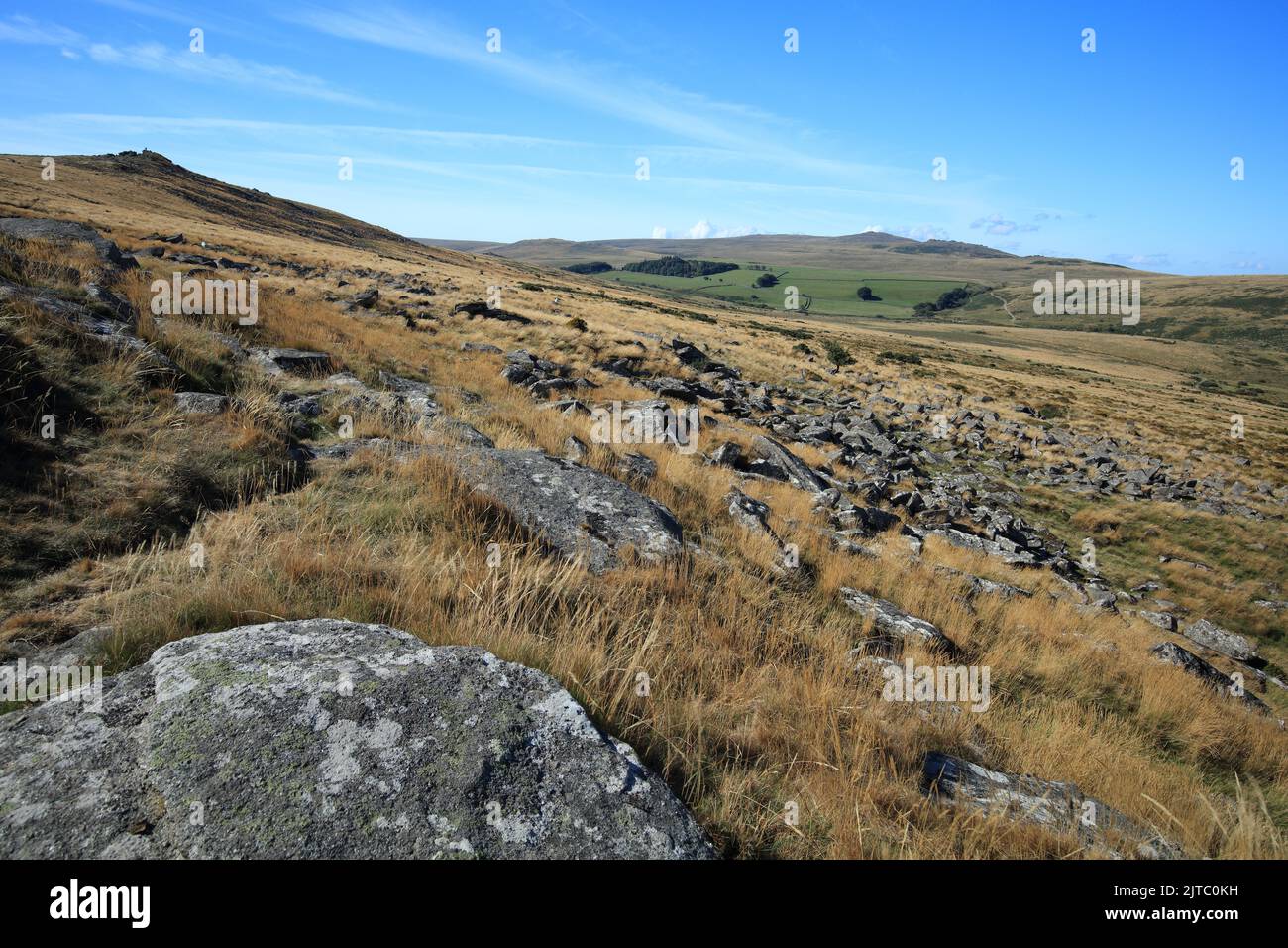 View from Belstone common, including Belstone tor, Yes tor and West Mill tor in the distance, Dartmoor, Devon, England, UK Stock Photo