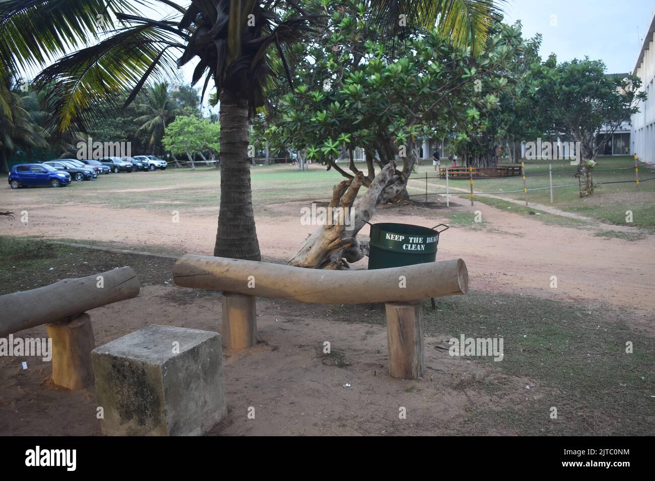 Wooden benches with small coconut trees at a landscape garden at a hotel which overlooks the Indian ocean in the outskirts of Colombo. Sri Lanka. Stock Photo