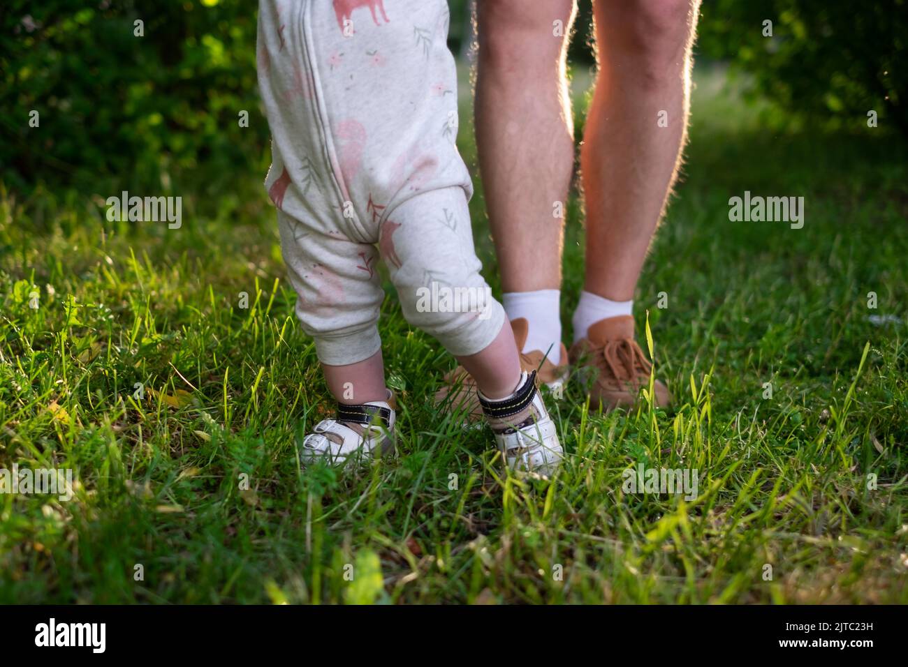 Mom learning baby daughter to walk, first steps in park at summer warm day. Baby girl is trying to go making first steps Stock Photo