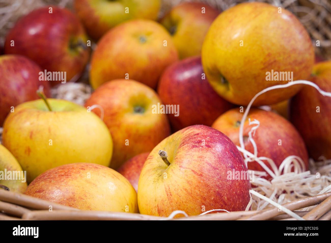 https://c8.alamy.com/comp/2JTC32G/basket-of-fresh-red-organic-gala-apples-2JTC32G.jpg