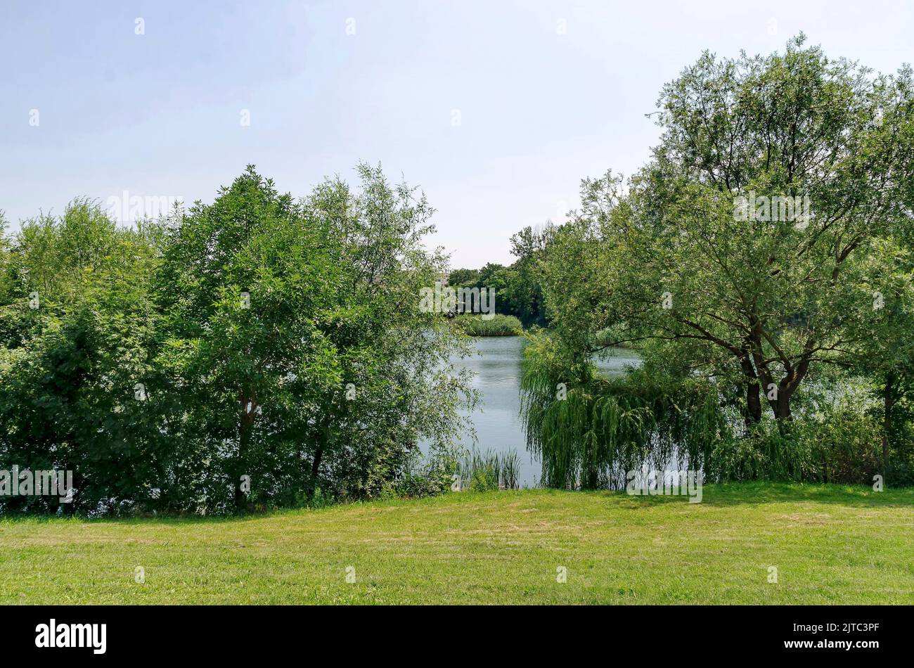 Springtime green on a fresh trees and lake in residential district Drujba, Sofia, Bulgaria Stock Photo