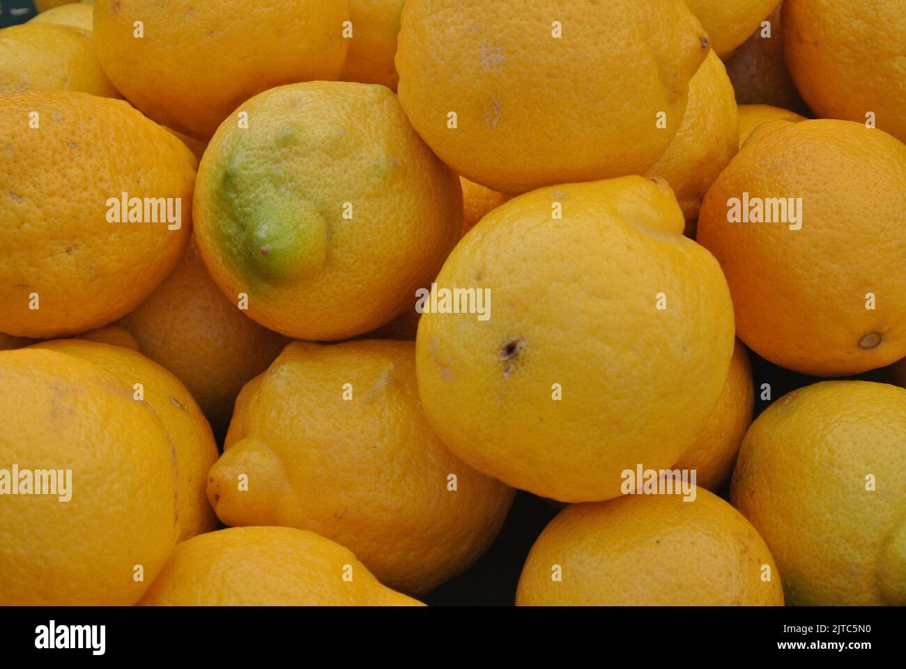 Bunch of fresh lemons, farmers market, freshly picked fruit, citrus cooking Stock Photo