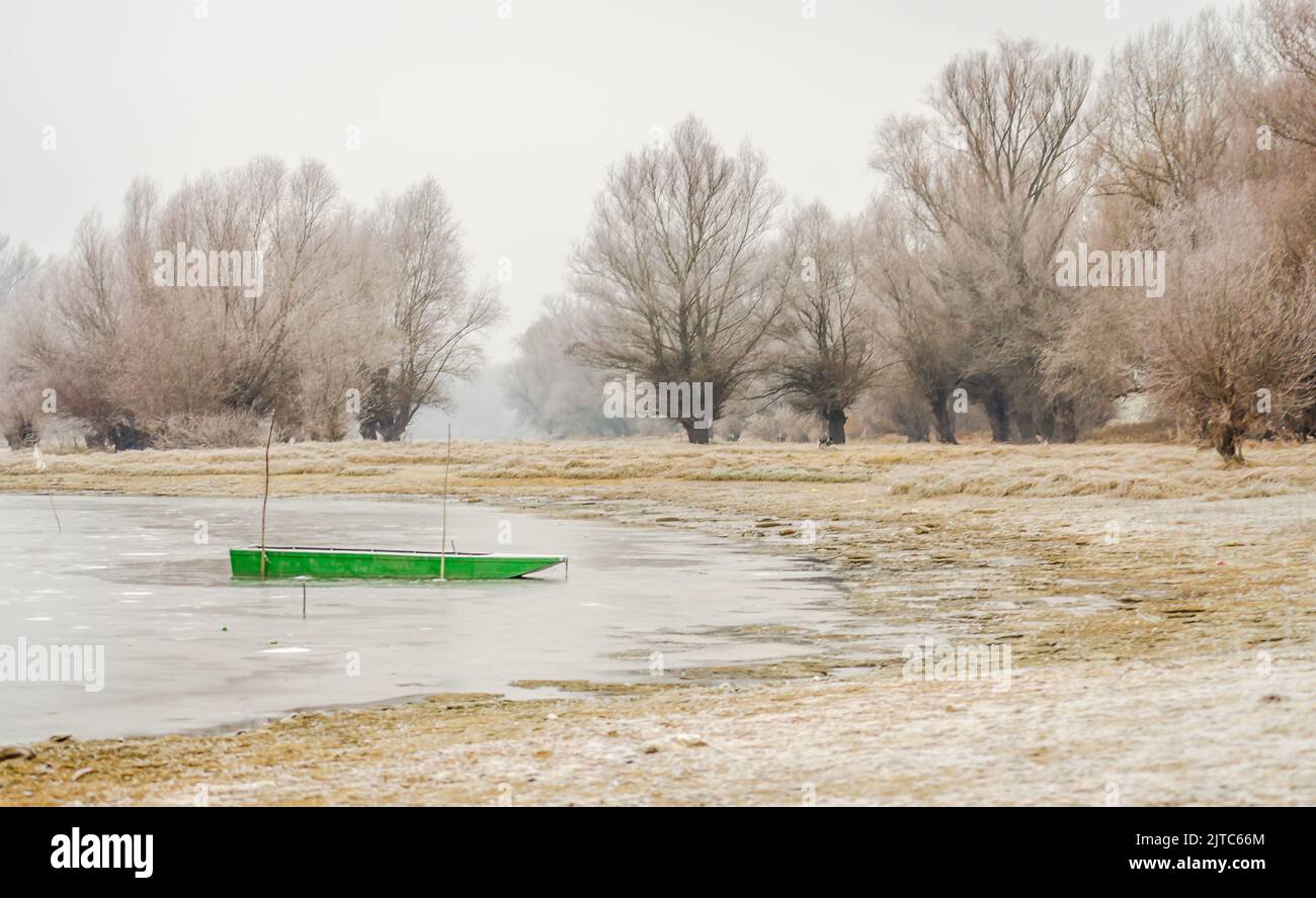 Danube Island Sodros near Novi Sad, Serbia. Gray and white landscape