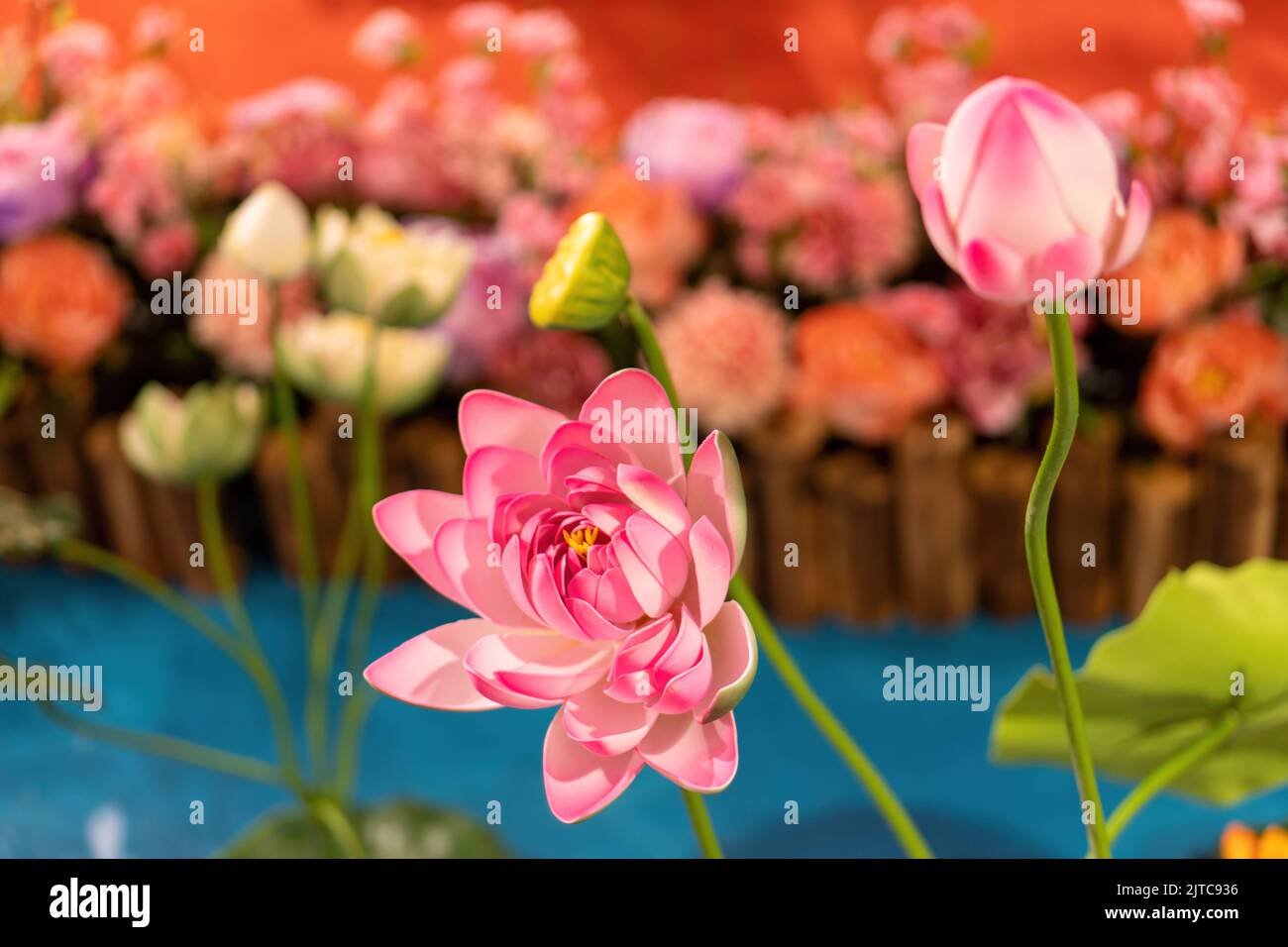 A closeup shot of a fake pink lotus flower with numerous colorful flowers in the background Stock Photo
