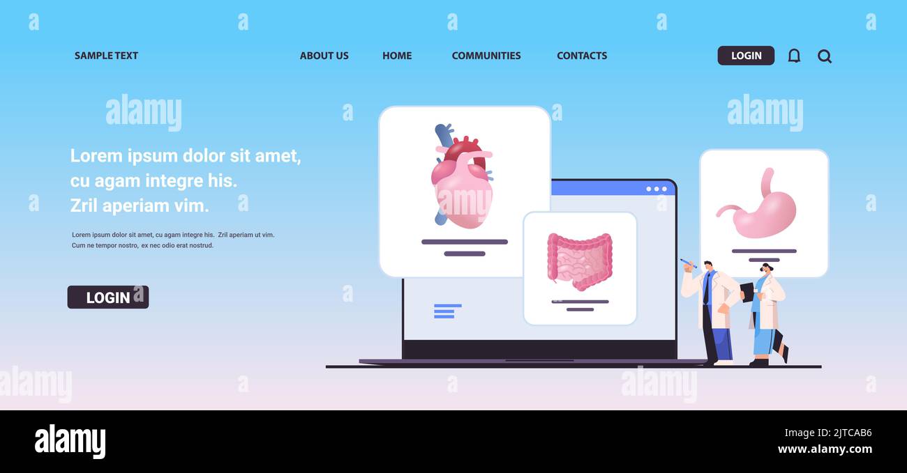 scientists examining anatomical human body internal organs on laptop