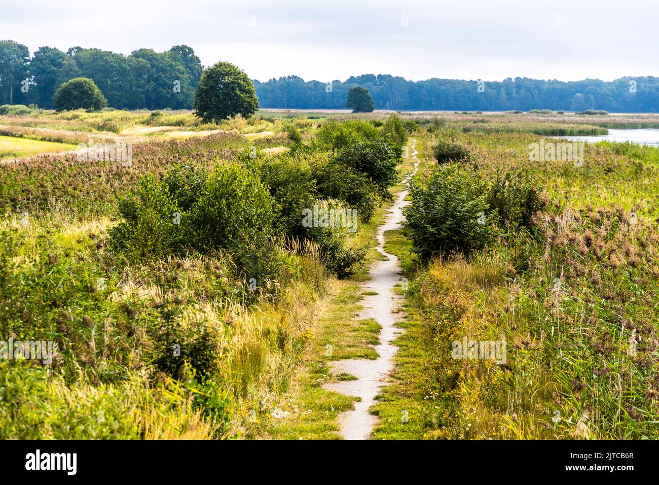 Hiking trail through a nature reserve near Örebro, Sweden Stock Photo