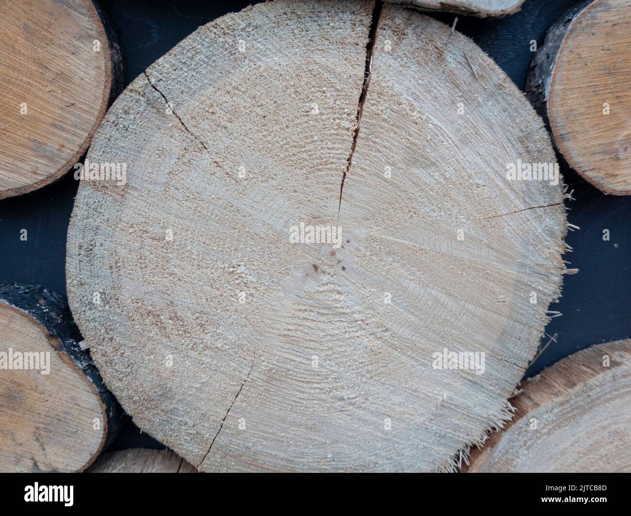 Tree rings saw cut tree trunk background Stock Photo - Alamy