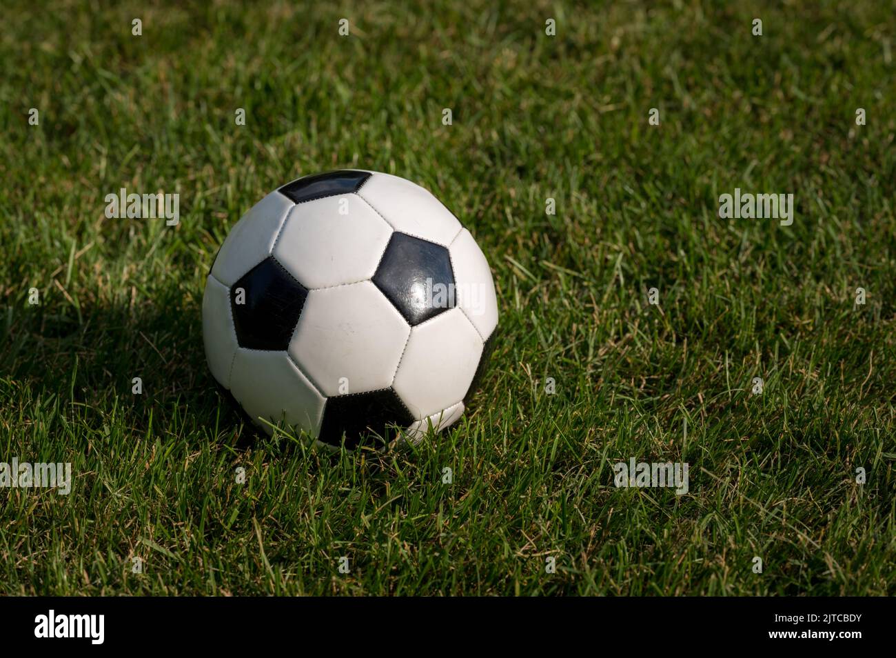 Soccer Ball on a grass lawn Stock Photo Alamy
