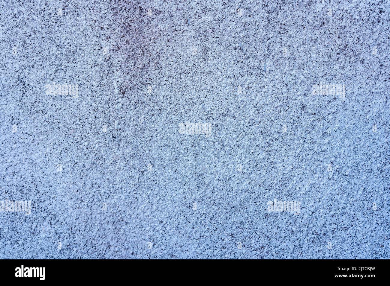 Texture made of close-up image of shell rock surface white and gray Stock Photo
