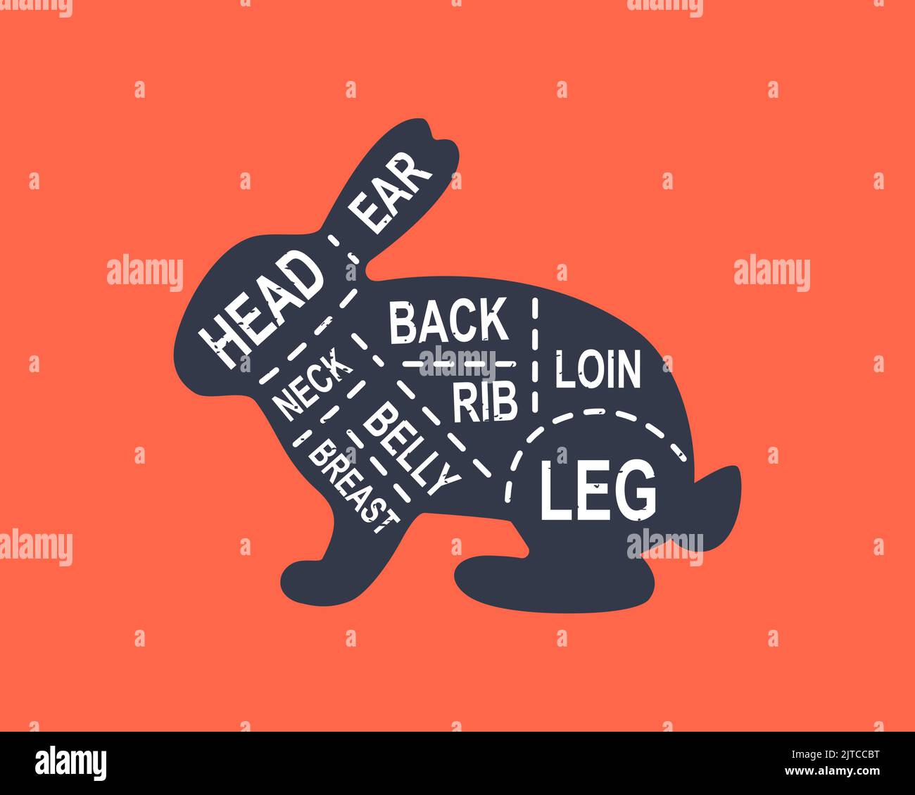 Rabbit diagram cuts. Butcher scheme poster. Cuts of rabbit meat. Meat