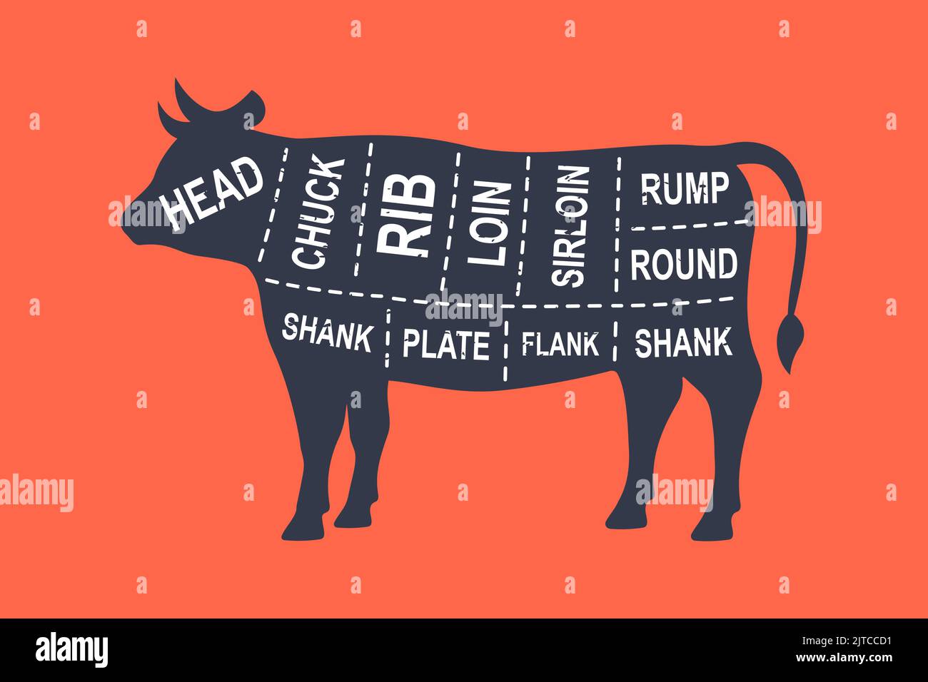 Cow diagram cuts. Butcher scheme poster. Cuts of bull meat. Meat diagram scheme illustration. Farm animal silhouette. Stock Vector