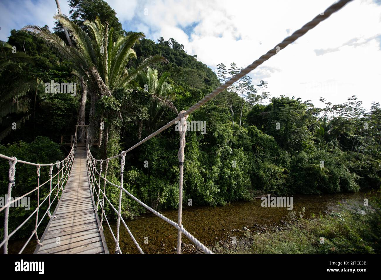 Wooden swing rope bridge over river in the Belize rainforest Stock Photo