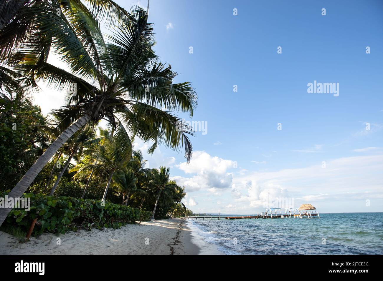 Beautiful deserted beach coastline in Hopkins, Belize Stock Photo