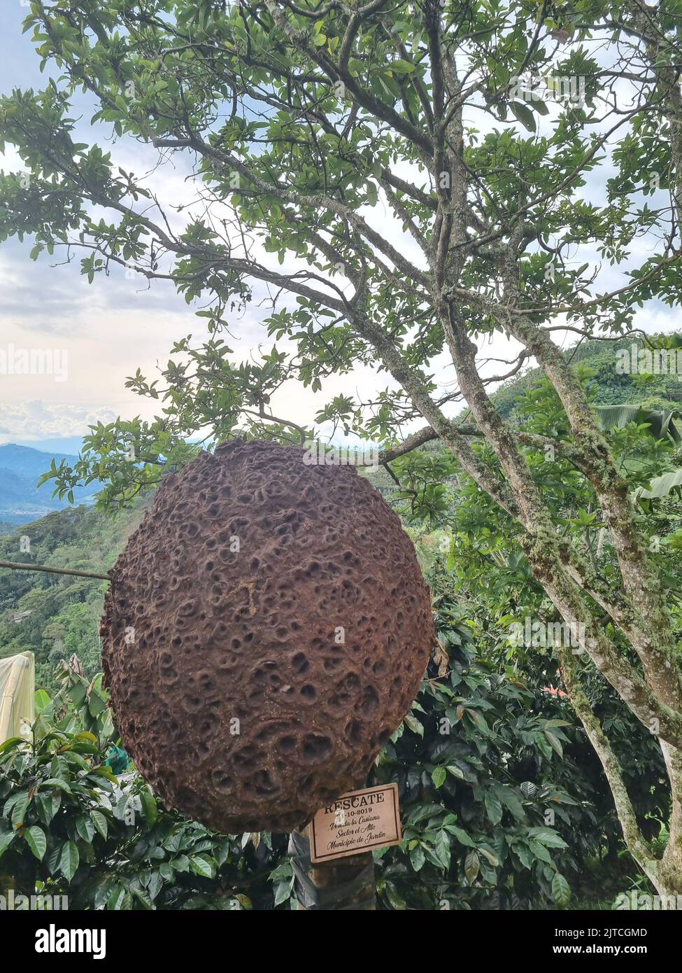 Amazing landscapes of Jardin Colombia Views of Colombia Stock Photo - Alamy