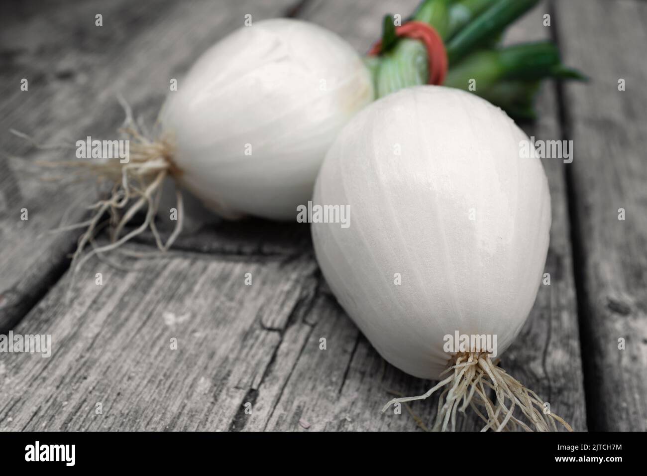 Two Spring Onions on Wood Table Stock Photo