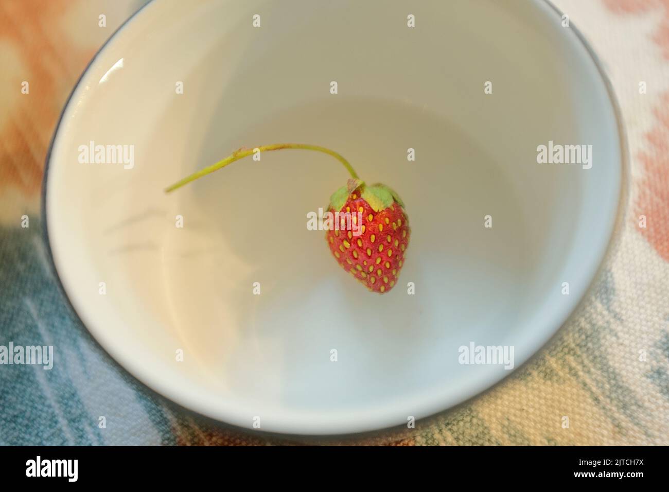 Strawberry in White Bowl Stock Photo