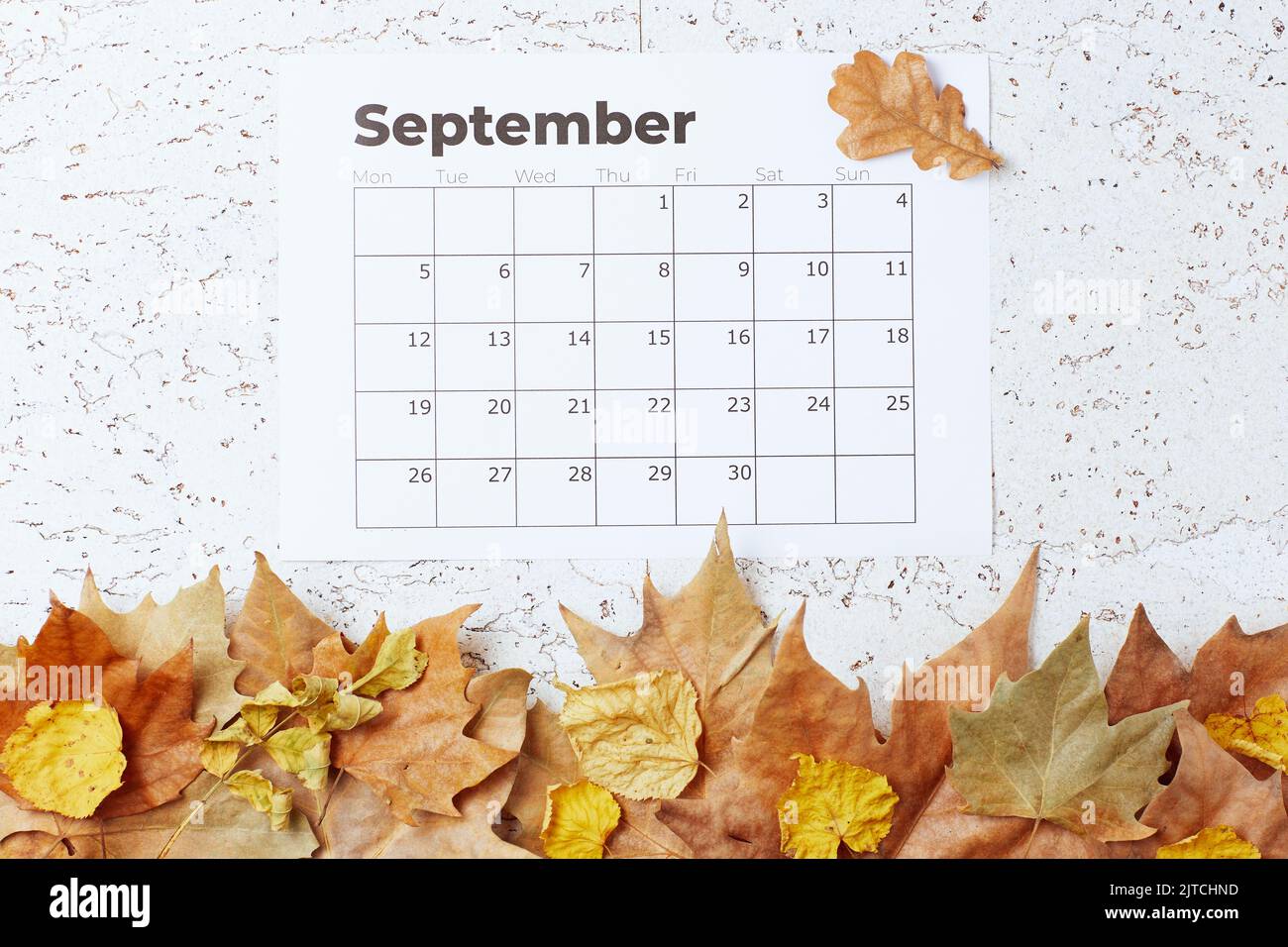 autumn background with September calendar and leaves Stock Photo - Alamy