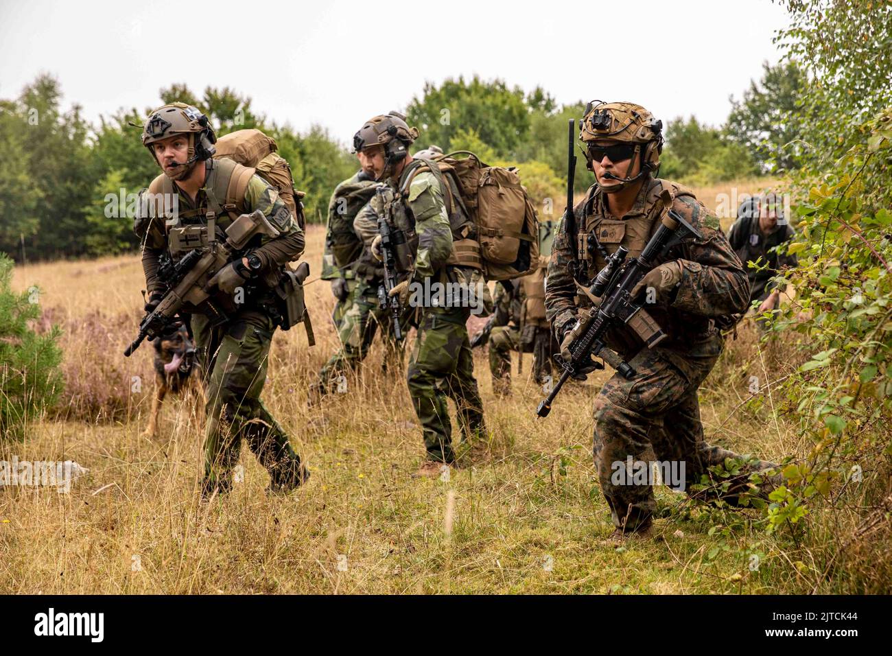 U.S. Marine Corps Sgt. Anthony T. Ruiz, a squad leader with Echo ...