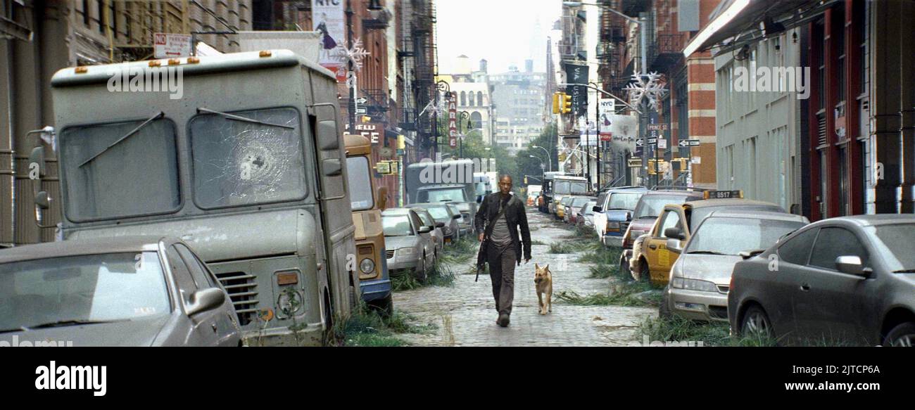 WILL SMITH, DOG, I AM LEGEND, 2007 Stock Photo Alamy