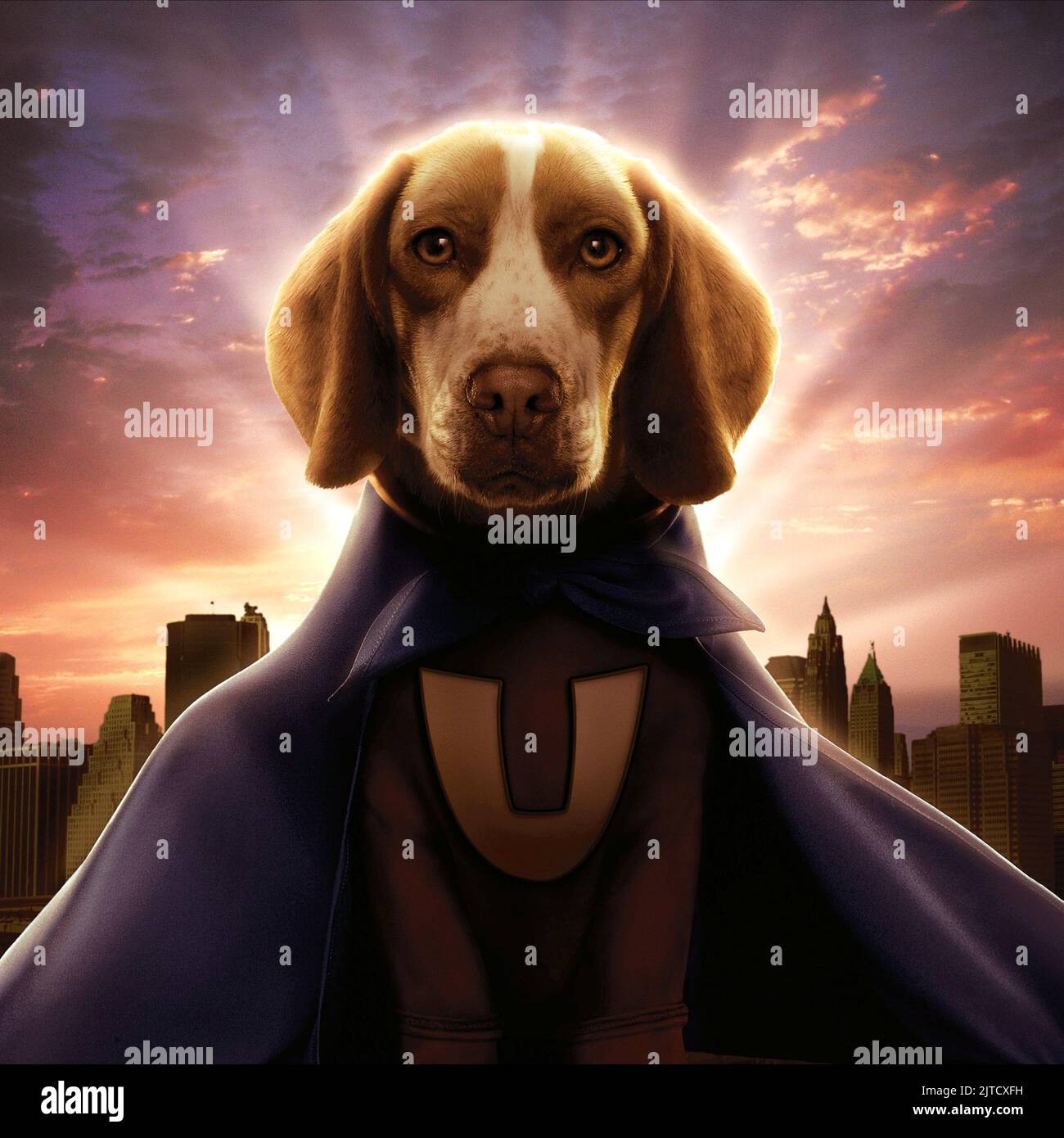 SHOESHINE, UNDERDOG, 2007 Stock Photo - Alamy