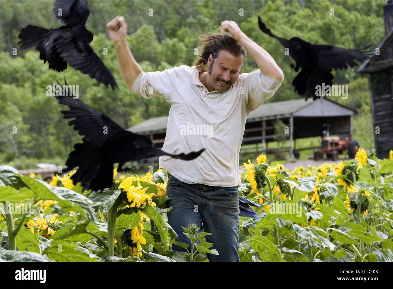 JOHN CORBETT, THE MESSENGERS, 2007 Stock Photo - Alamy